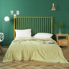 【柏琳家纺】四件套 夏日抹抹茶夏被 预付金