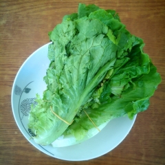 【热火麻辣烫】生菜