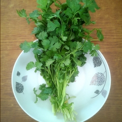 【热火麻辣烫】香菜