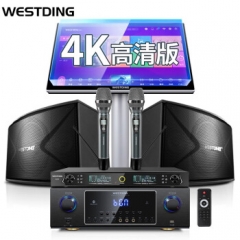 威斯汀（WESTDING）118音响 音箱家庭影院点歌机套装