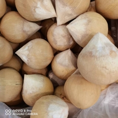 【百果巷】奶椰 2个装