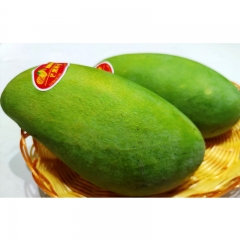 【百果巷】大青芒 500g
