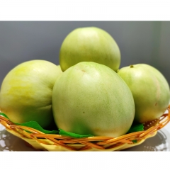 【百果巷】甜蜜香瓜 500g