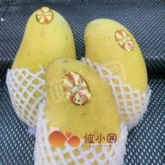 水仙芒