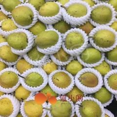 特级香梨