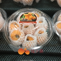 五星枇杷