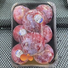 太阳红李