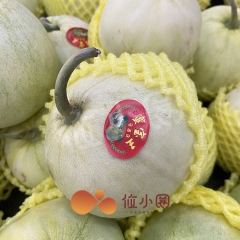 蜜宝甜瓜