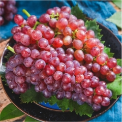 特极无籽红提450g