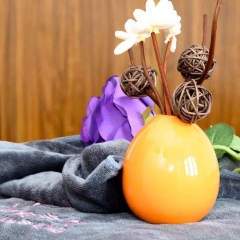 能量SPA